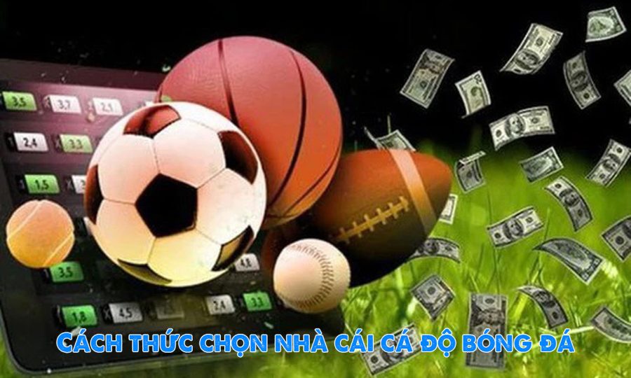Cá độ bóng đá là gì? Tìm hiểu về cá độ bóng đá online 2 Cách thức chọn nhà cái cá độ bóng đá